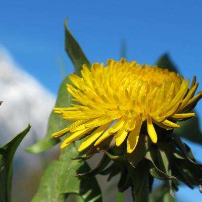 赏金女王免费安卓下载截图