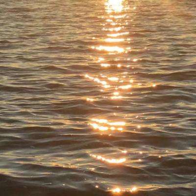 云平台appapp下载