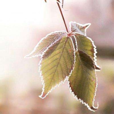 火狐电竞·huohu手机app下载